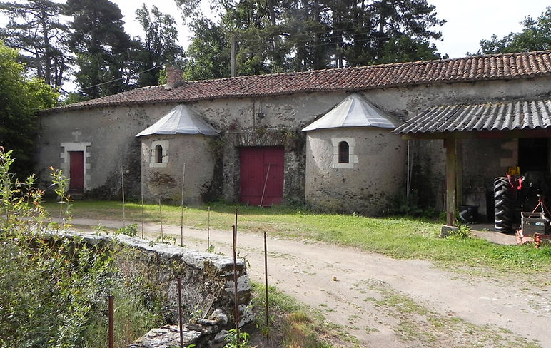 La cave et les chais, en 2011