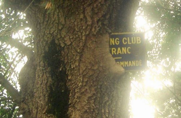 La pancarte du camping de la boire d'Anjou, ou ce qu'il en reste...