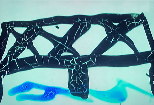 Les ponts de Mauves peints sur pellicule par Jacques DEMY
