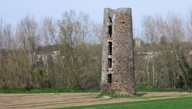 Les restes du moulin en 2016. Les dépendances et la maison sont détruites depuis de nombreuses années. Derrière les arbres, passe la Loire, et sur le coteau on aperçoit le bourg de Mauves.
